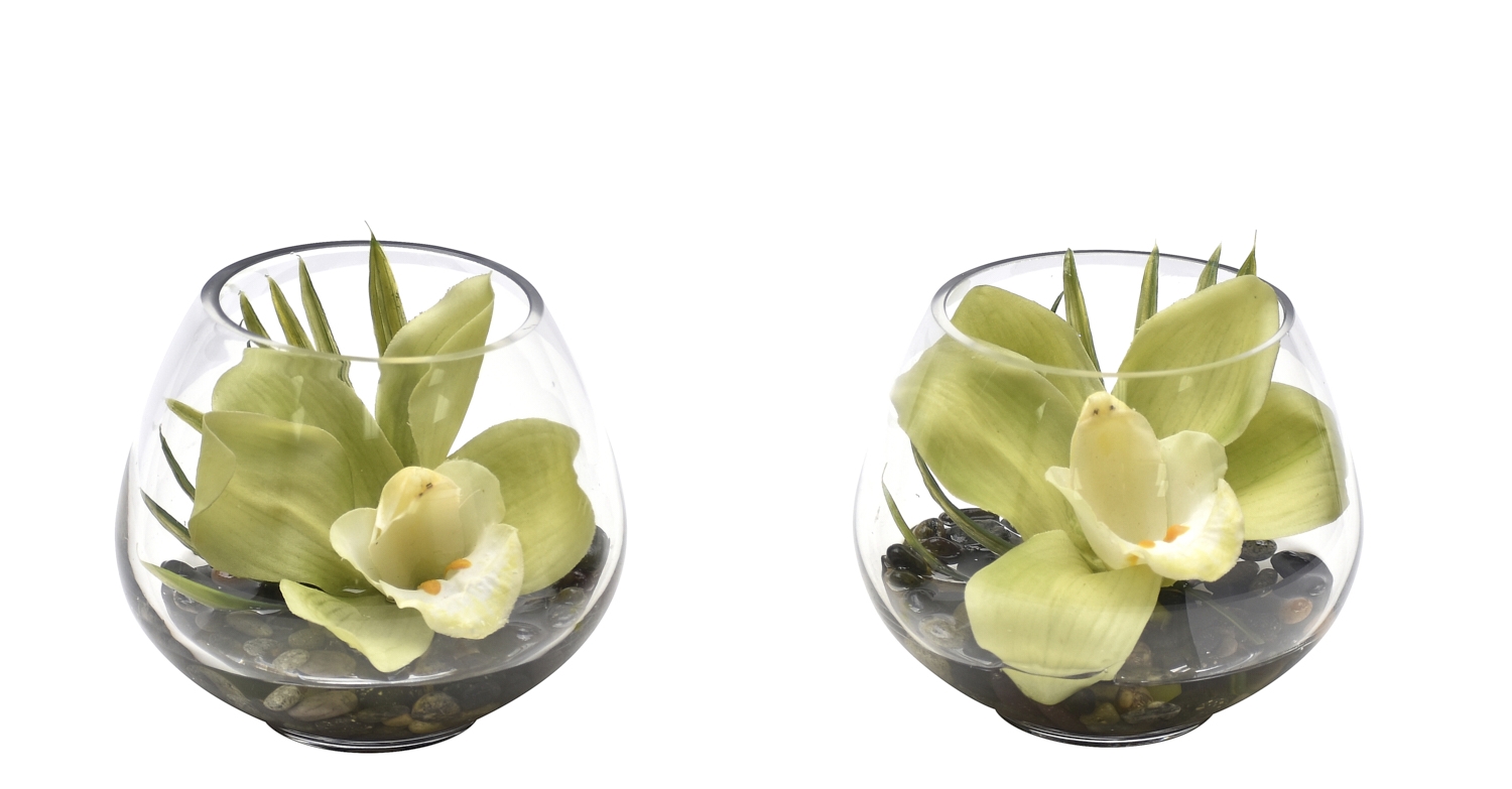 Orchid Cymbidium, Green, Set of 2, Glass Vase, 4.5wx4.5dx4h